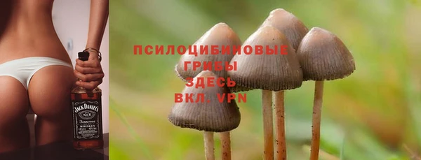молекула духа Алзамай