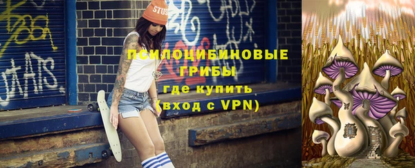 молекула духа Алзамай