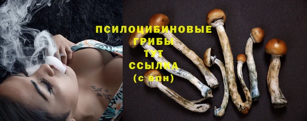 apvp Снежинск