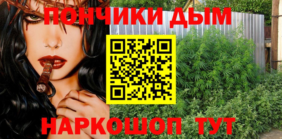 Бошки Шишки планчик Тара